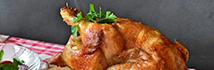 Bild "versteckt:huhn240.jpg"